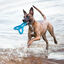 Kong Flyangle Juguete para perros, , large indicador imagen numero 3
