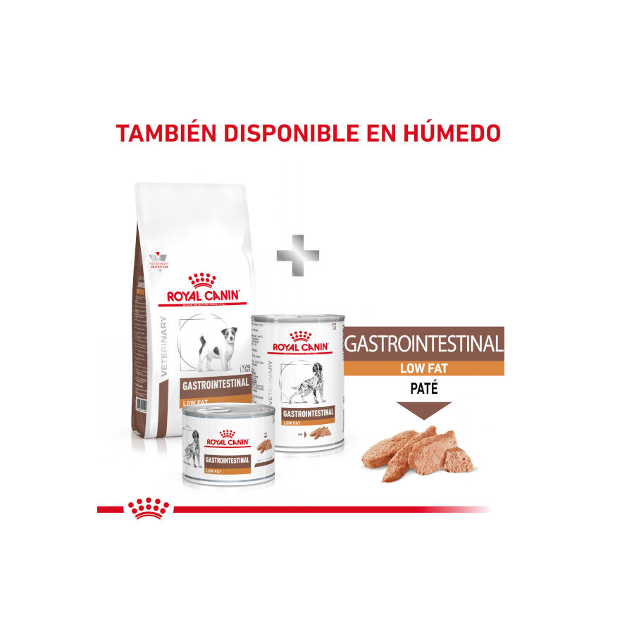 Royal Canin GastroIntestinal Low Fat pienso para perros pequeños thumbnail