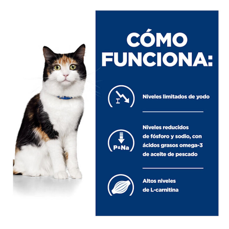 Hill's Prescription Diet Thyroid Care y/d pienso para gatos, , large image number null