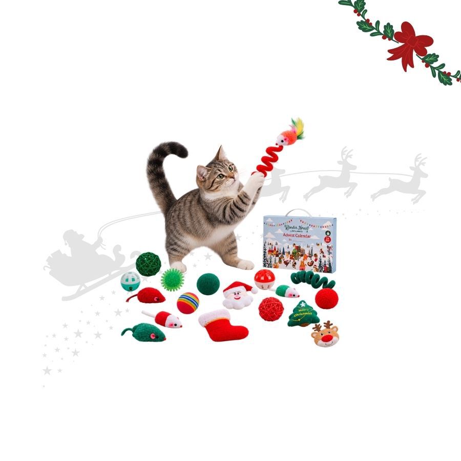Wonder Christmas Calendario Adviento Juguete para gatos, , large Imagen numero 1