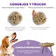 Outward Hound Hide n’ Slide Puzzle para perros, , large indicador imagen numero 4