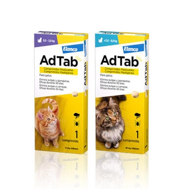 AdTab Comprimidos Masticables Antiparasitarios para gatos