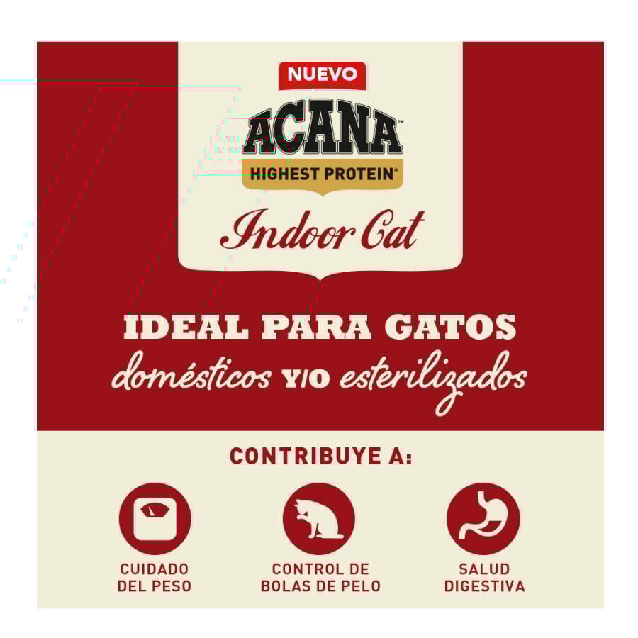 4.5 kg Acana Highest Protein Indoor Pollo Salm&oacute;n y Trucha Pienso para gatos, , large Imagen numero 2