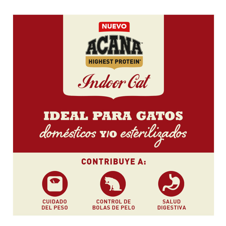 4.5 kg Acana Highest Protein Indoor Pollo Salmón y Trucha Pienso para gatos,  Imagen numero 2 4.5 kg Acana Highest Protein Indoor Pollo Salmón y Trucha Pienso para gatos, , large Imagen numero 2