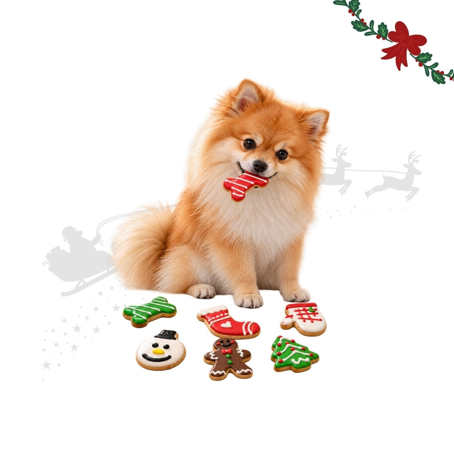 1 pack x 7 uds. Wonder Christmas Pack Regalo Galletas Snacks para perros, , large Imagen numero 1