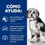 10 kg Hill's Prescription Diet ON-Care Pollo pienso para perros, , large indicador imagen numero 3