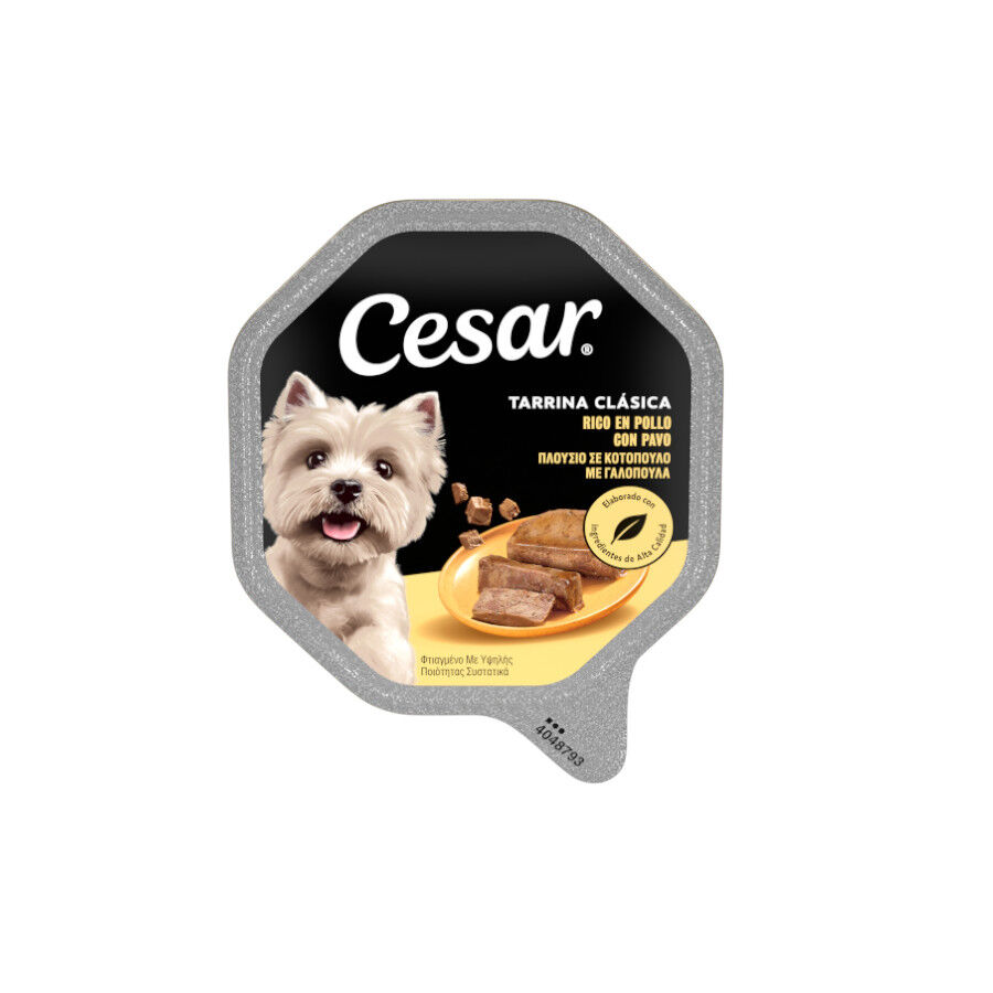 300 g Cesar Pollo e H&iacute;gado Tarrina en Pat&eacute; para Perros, , large Imagen numero 1