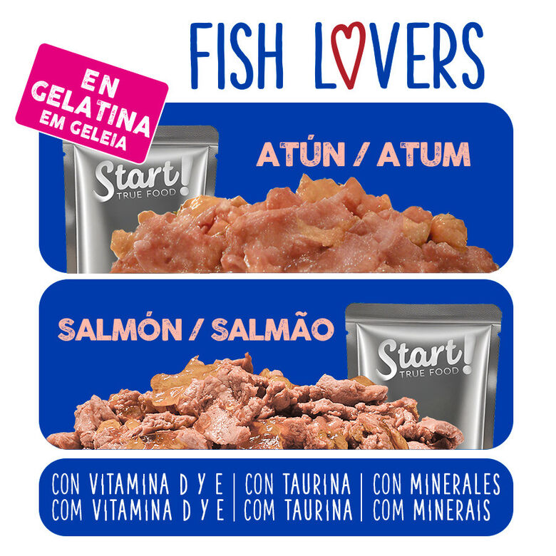 Start Cat Carne con Pollo y Pescado en Gelatina sobre para gatos thumbnail