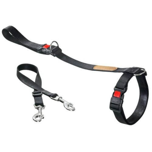 Flamingo correa de adiestramiento para perros Imagen numero 1