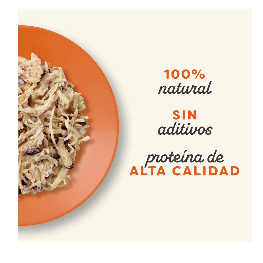 12 sobres x 70 g Applaws Selection Caldo de Pollo sobre para gatos - Multipack, , large Imagen numero 2