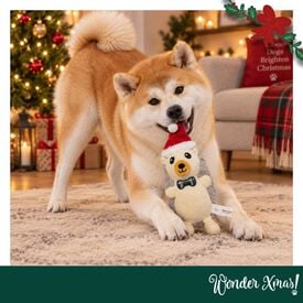 Wonder Christmas Erizo Peluche para perros