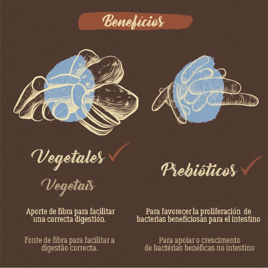 True Origins Pure Kitten No Grain Free Salmón pienso para gatitos thumbnail