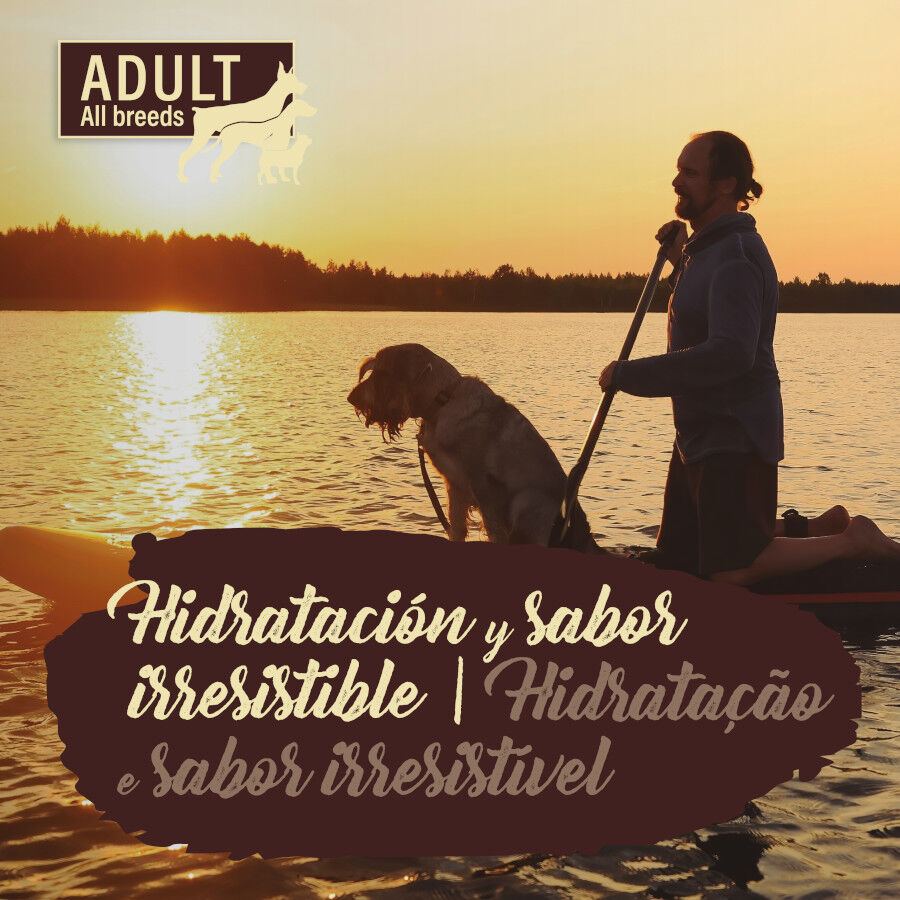 True Origins Pure Salmón lata para Perros thumbnail