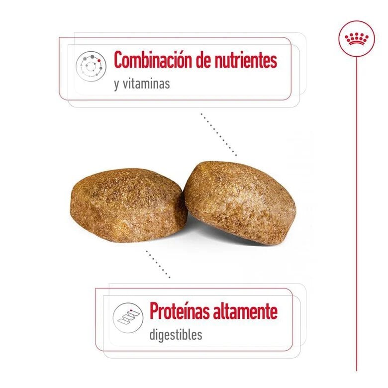 15 kg Royal Canin Giant Adult pienso para perros,  Imagen numero 6 15 kg Royal Canin Giant Adult pienso para perros, , large Imagen numero 6