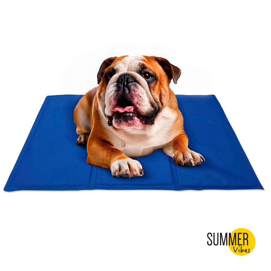 Summer Vibes Manta Refrescante Azul para perros thumbnail