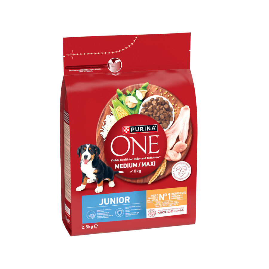2,5 kg Purina One Pienso Pollo para perros junior, , large Imagen numero 1