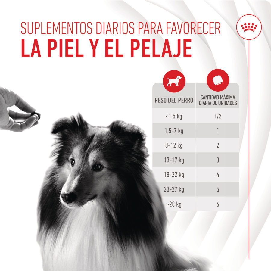 Royal Canin Skin &amp; Coat Chews Adult Suplemento nutricional para perros thumbnail