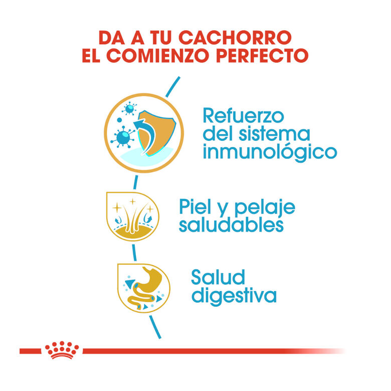Royal Canin Puppy Cocker pienso para perros thumbnail