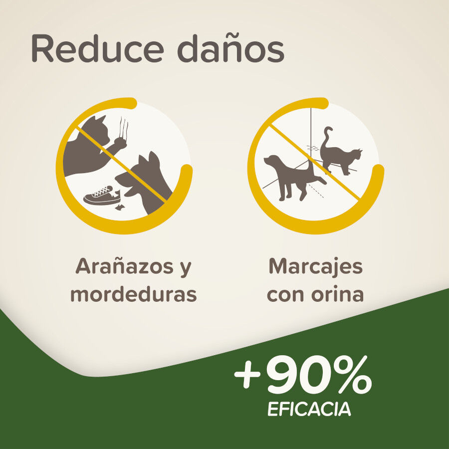 Beaphar Spray Educador  Interiores para Perros y Gatos thumbnail