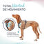 Halti arnés anatómico con asa azul verdoso para perros, , large indicador imagen numero 2