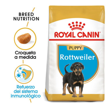 Royal Canin Puppy Rottweiler pienso para perros 