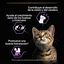 85 g Pro Plan NutriSavour Feline Kitten Pavo en salsa sobre para gatitos, , large indicador imagen numero 4