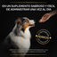 Pro Plan Multivitamin Suplemento para perros, , large indicador imagen numero 5
