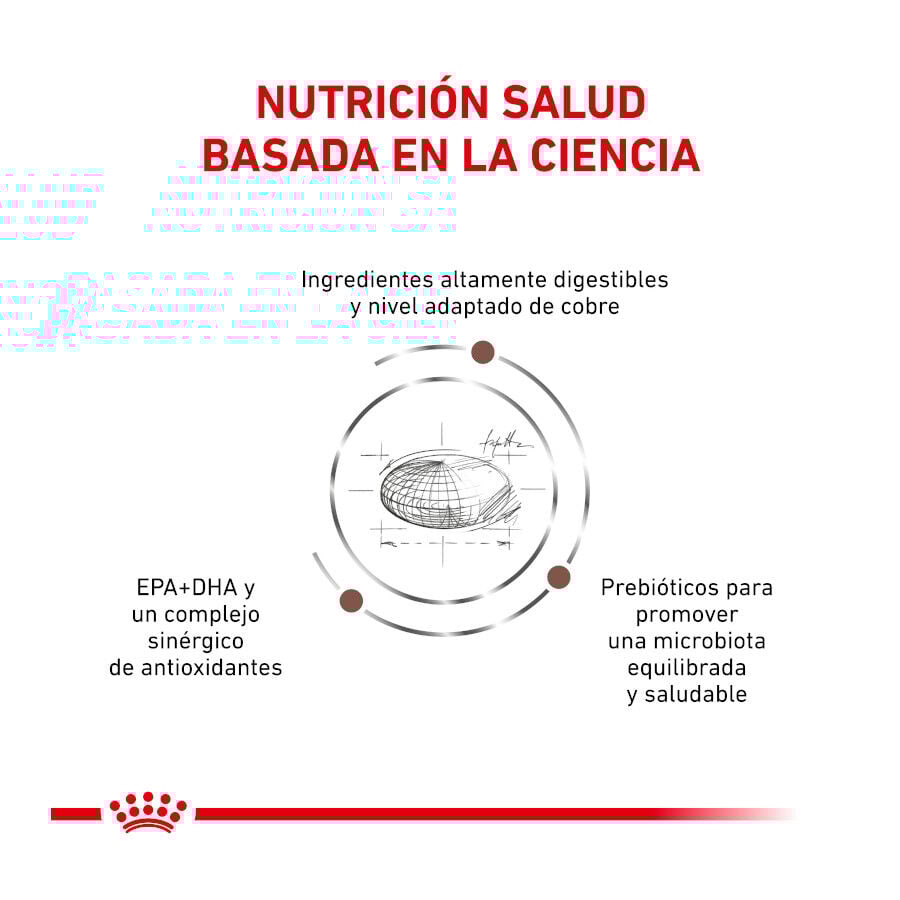 Royal Canin Veterinary Hepatic pienso para gatos thumbnail