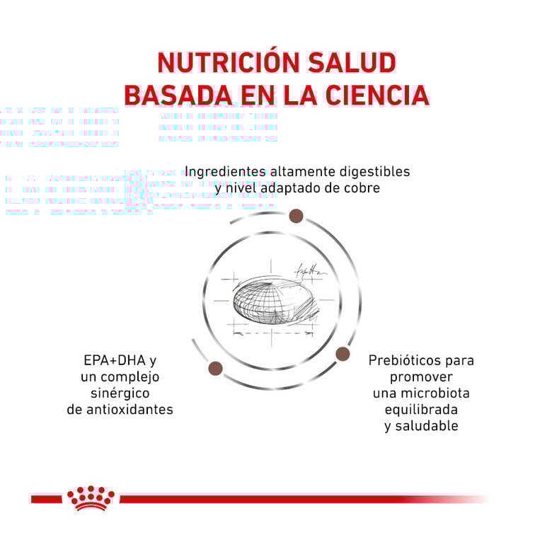 4 kg Royal Canin Veterinary Hepatic pienso para gatos,  Imagen numero 2 4 kg Royal Canin Veterinary Hepatic pienso para gatos, , large Imagen numero 2