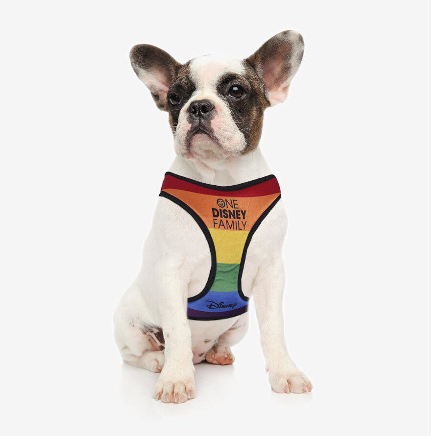 Disney Pride Arnés multicolor para perros thumbnail