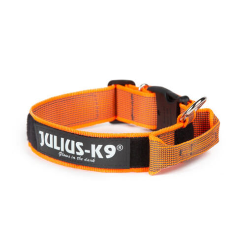 Julius K9 collar para perros nylon naranja con asa Imagen numero 1