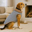 Outech Abrigo Estampado Vichy Azul para perros, , large indicador imagen numero 4