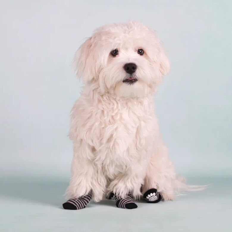 Karlie Calcetines Negro y Gris para perros thumbnail