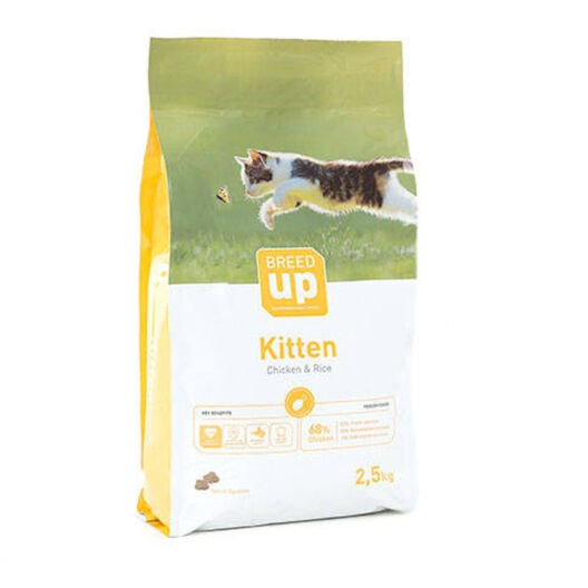 Breed Up Kitten pollo pienso para gatitos, , large image number null