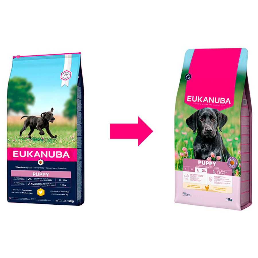 15 kg Eukanuba Puppy Large Pollo pienso para perros, , large Imagen numero 2