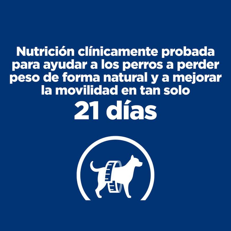 Hill&#039;s Prescription Diet j/d Metabolic + Mobility pienso para perros thumbnail