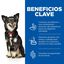 Hill's Science Plan Perfect Digestion Small & Mini Adult Pollo pienso para perros, , large indicador imagen numero 3