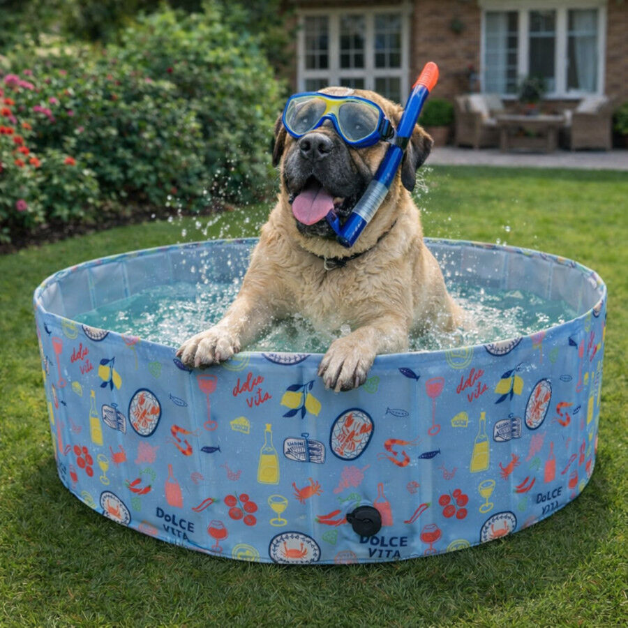 Summer Vibes Piscina Dolce Vita Refrescante para perros, , large Imagen numero 1