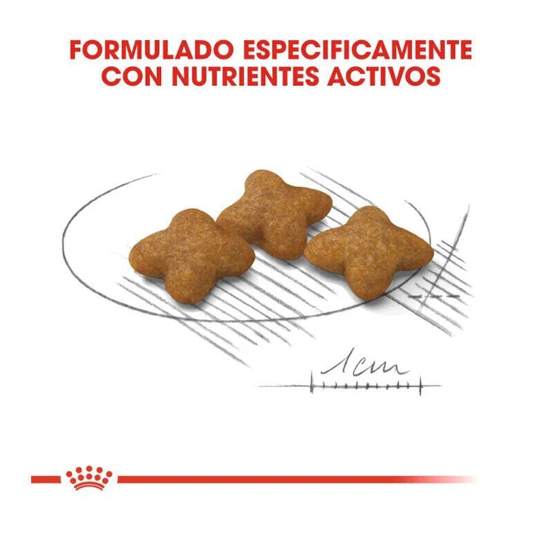 1.5 kg Royal Canin X-Small Sterilised pienso para perros, , large Imagen numero 4