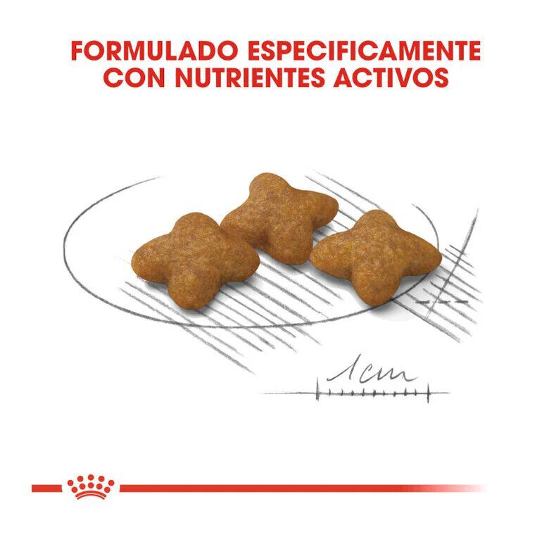 Royal Canin X-Small Sterilised pienso para perros thumbnail