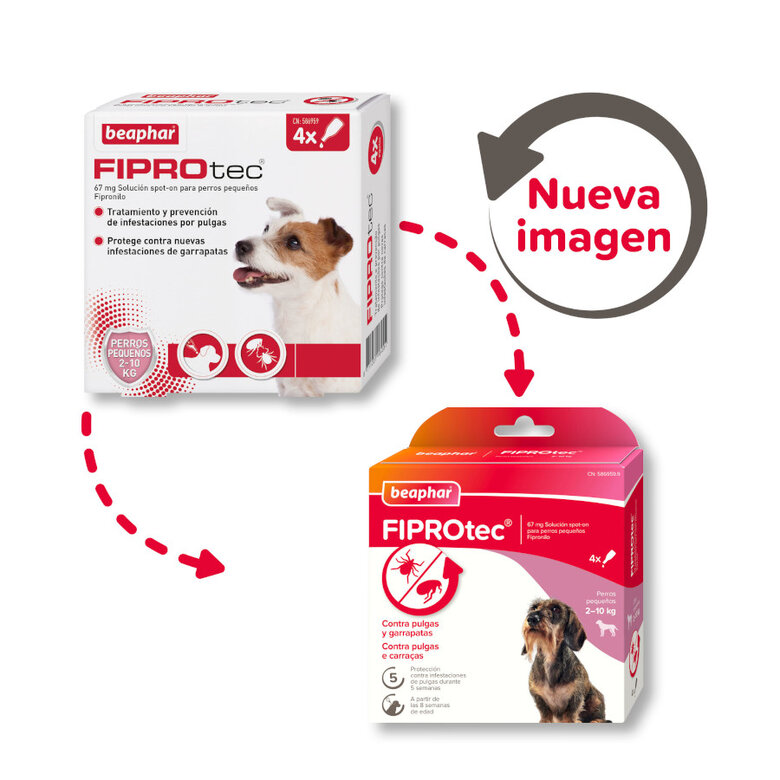 Beaphar FiproTec Pipetas para perros de razas pequeñas, , large image number null