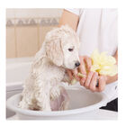 Beaphar Champú para perros cachorros, , large image number null
