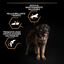16.5 kg (14 + 2.5 kg ¡gratis!) Pro Plan Large Robust Adult pienso para perros, , large indicador imagen numero 3