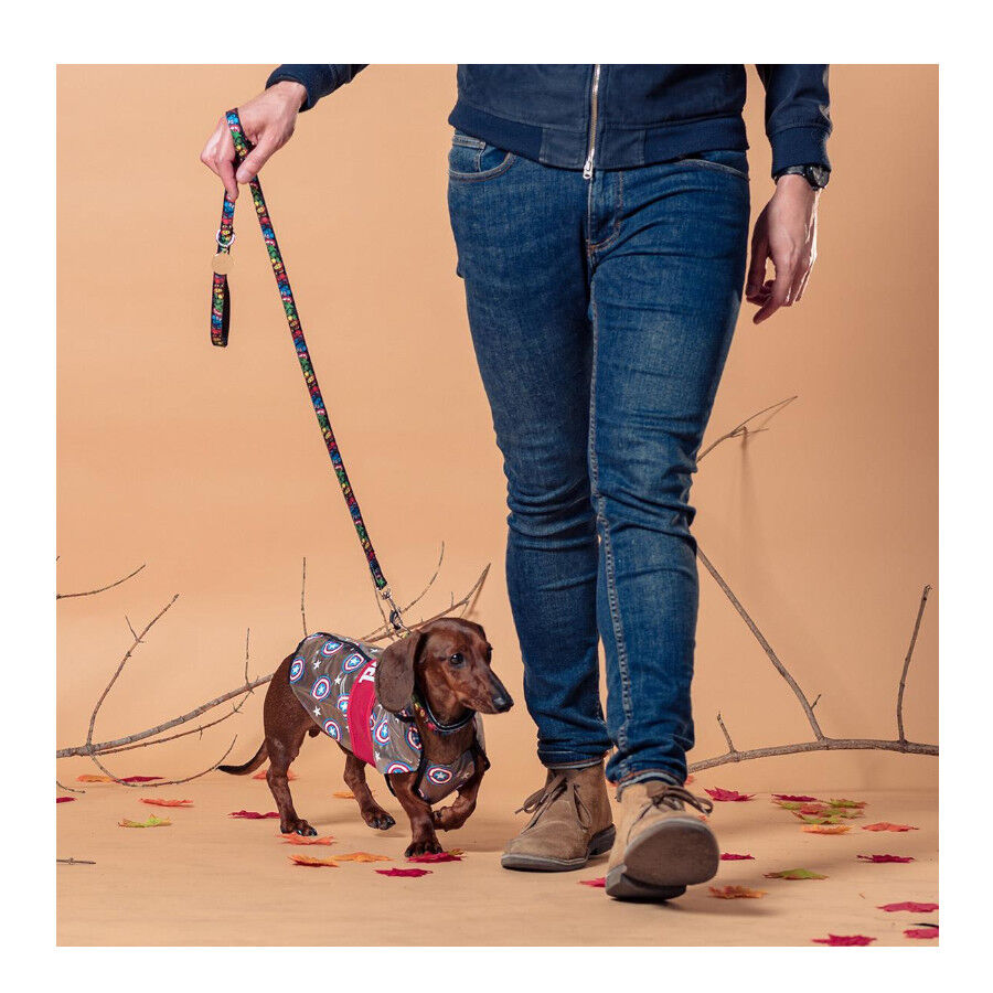 Disney Marvel Chubasquero Capitán América para perros thumbnail