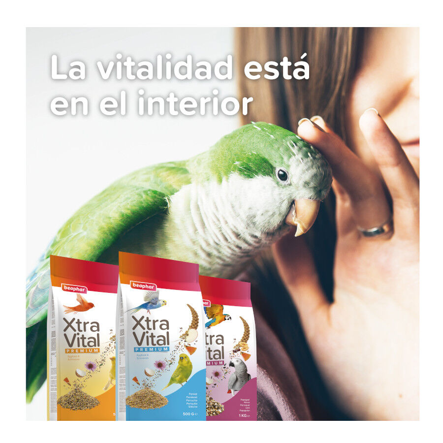 Beaphar XtraVital comida para periquitos thumbnail