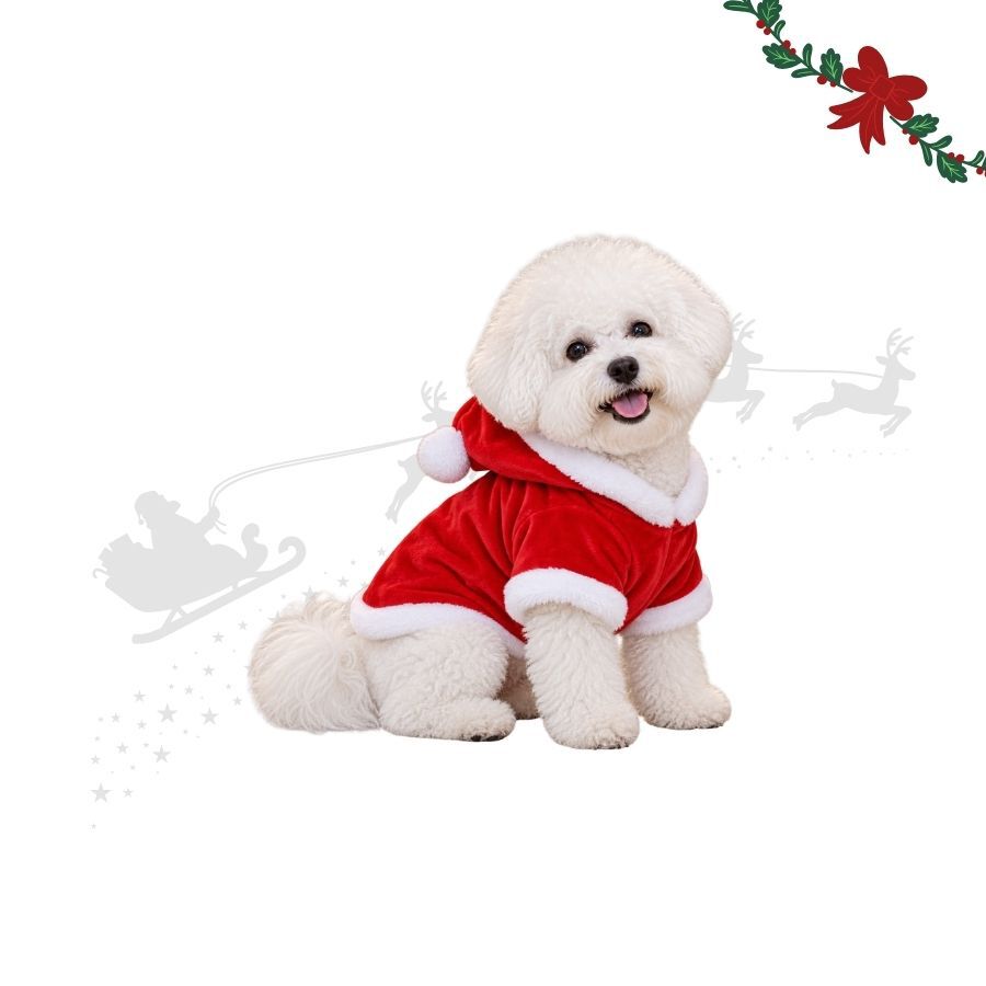 Wonder Christmas Jersey Papa Noel para perros, , large Imagen numero 1