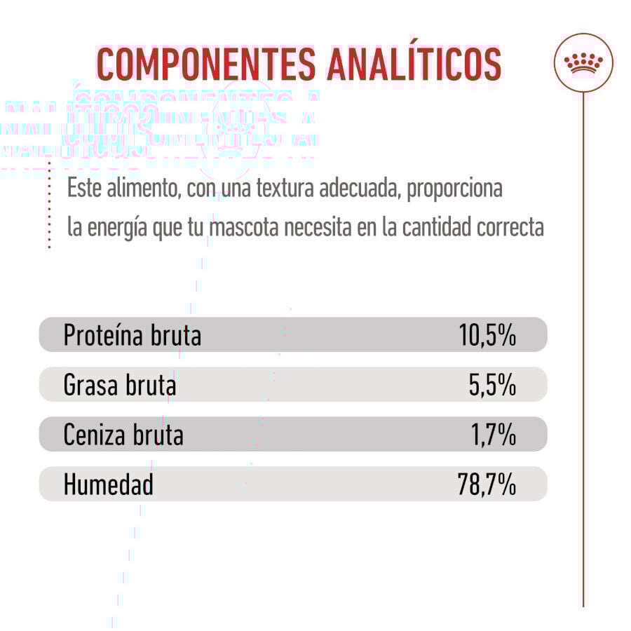 Royal Canin Mother &amp; Baby mousse latas para gatos thumbnail