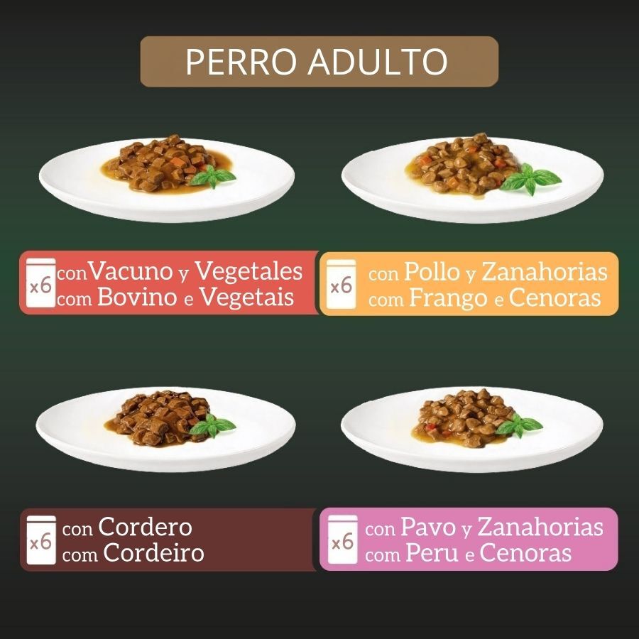 24 x 100 g Milord Adult Receta estilo casero en gelatina Sobres para perros - Multipack, , large Imagen numero 3