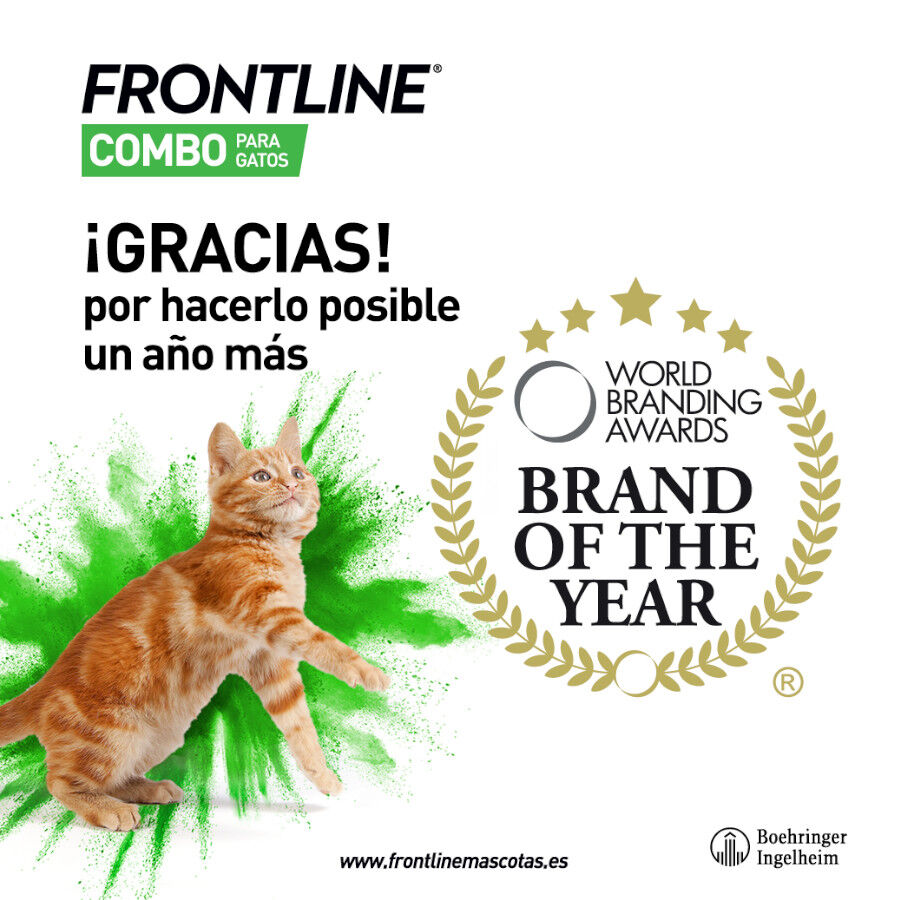 Frontline Combo Pipetas Antiparasitarias para gatos y hurones thumbnail