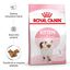 10 kg Royal Canin Kitten pienso para gatos, , large indicador imagen numero 2